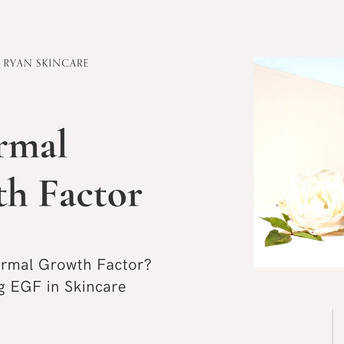 What is Epidermal Growth Factor (EGF)? How do Growth Factors in Skincare Work?
